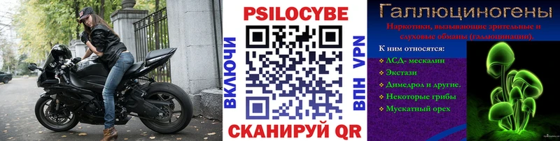дарнет шоп  Дорогобуж  Псилоцибиновые грибы ЛСД 