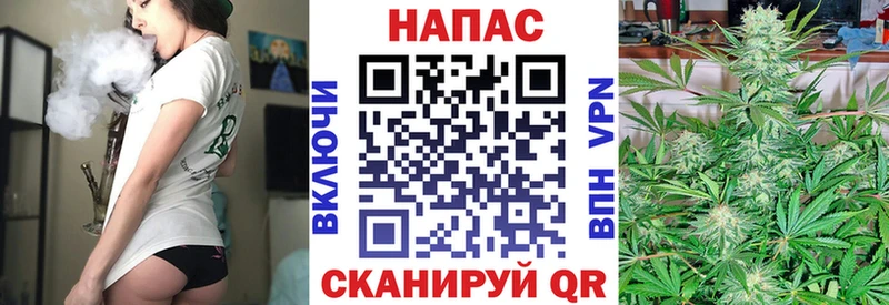 Каннабис ГИДРОПОН  мега как зайти  Дорогобуж 